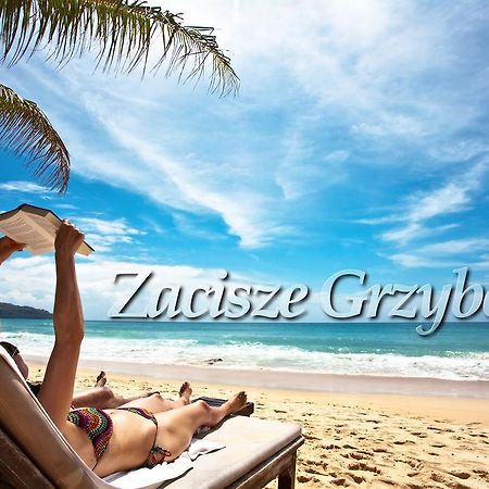 Апартаменты Zacisze Grzybowo Грзибово Экстерьер фото